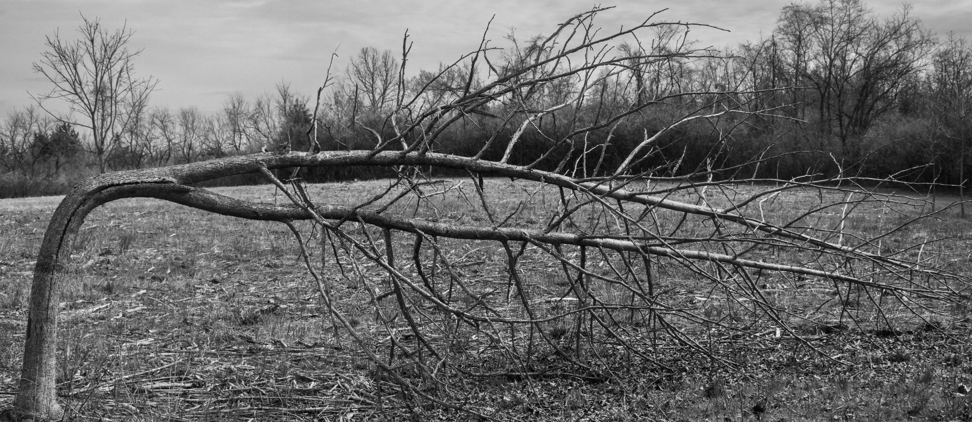 This image has an empty alt attribute; its file name is dsc01219-23667777620315939165.jpg